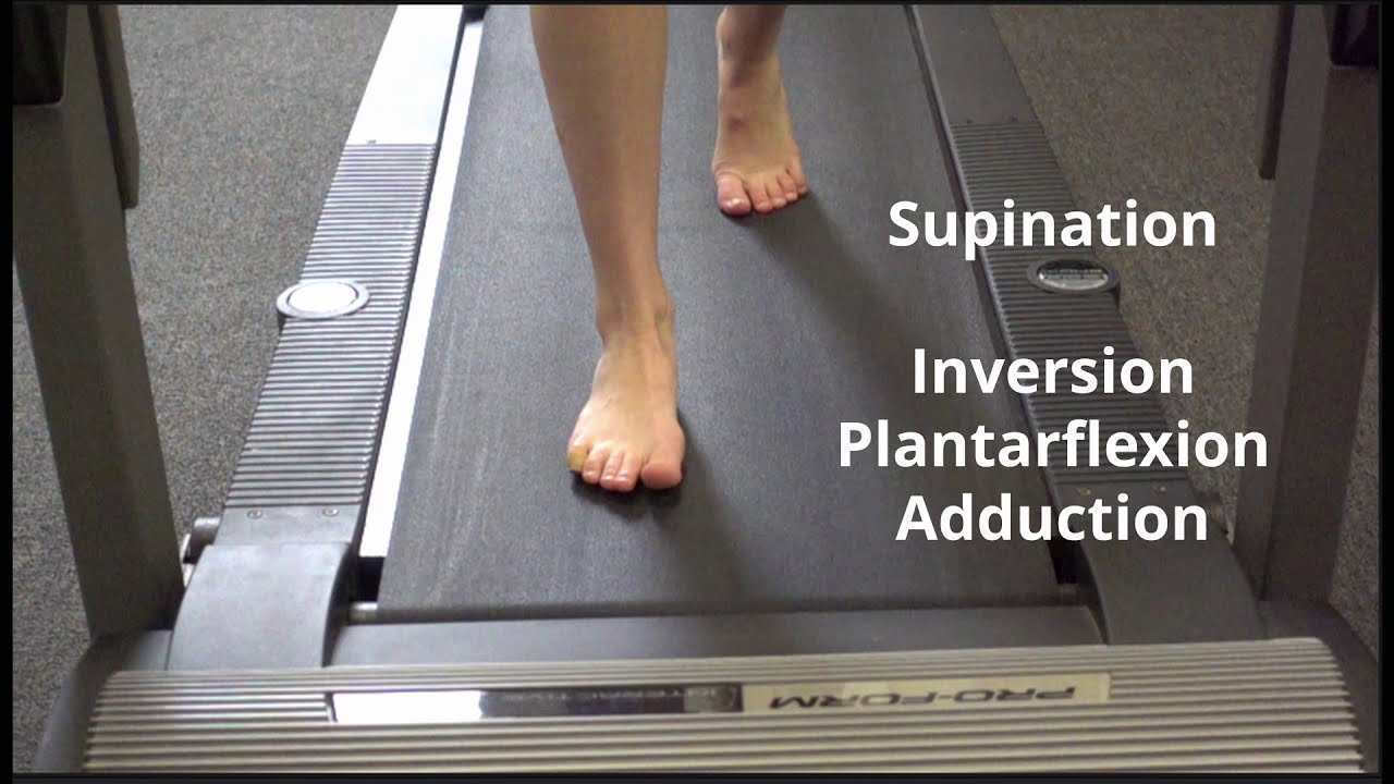 Analysis of Gait Motion   Frontal Plane