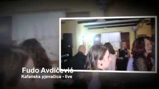 preview picture of video 'Fudo Avdičević kafanska pjevačica uživo'