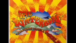 the waterboys-everybody takes a tumble