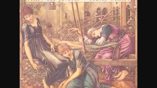 Toutes choses - Gérard Manset