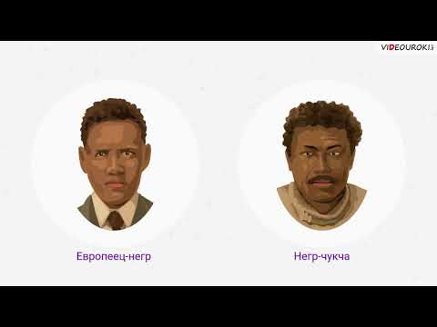 Видеоурок «Человеческие расы и их происхождение»