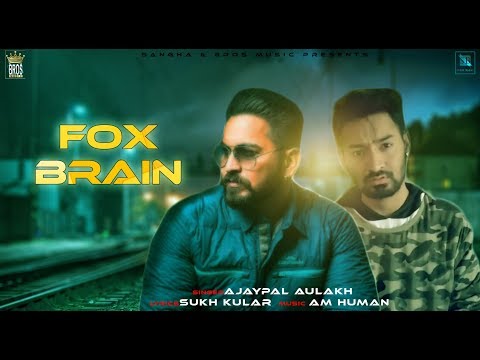 Fox Brain