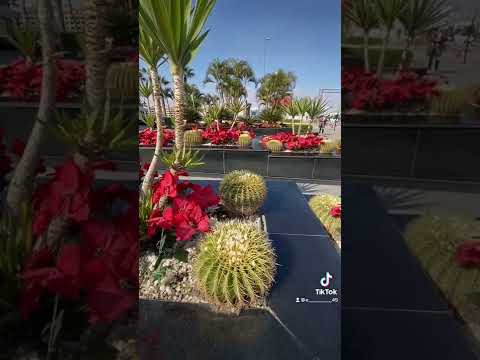 ٢٩ يناير، ٢٠٢٢