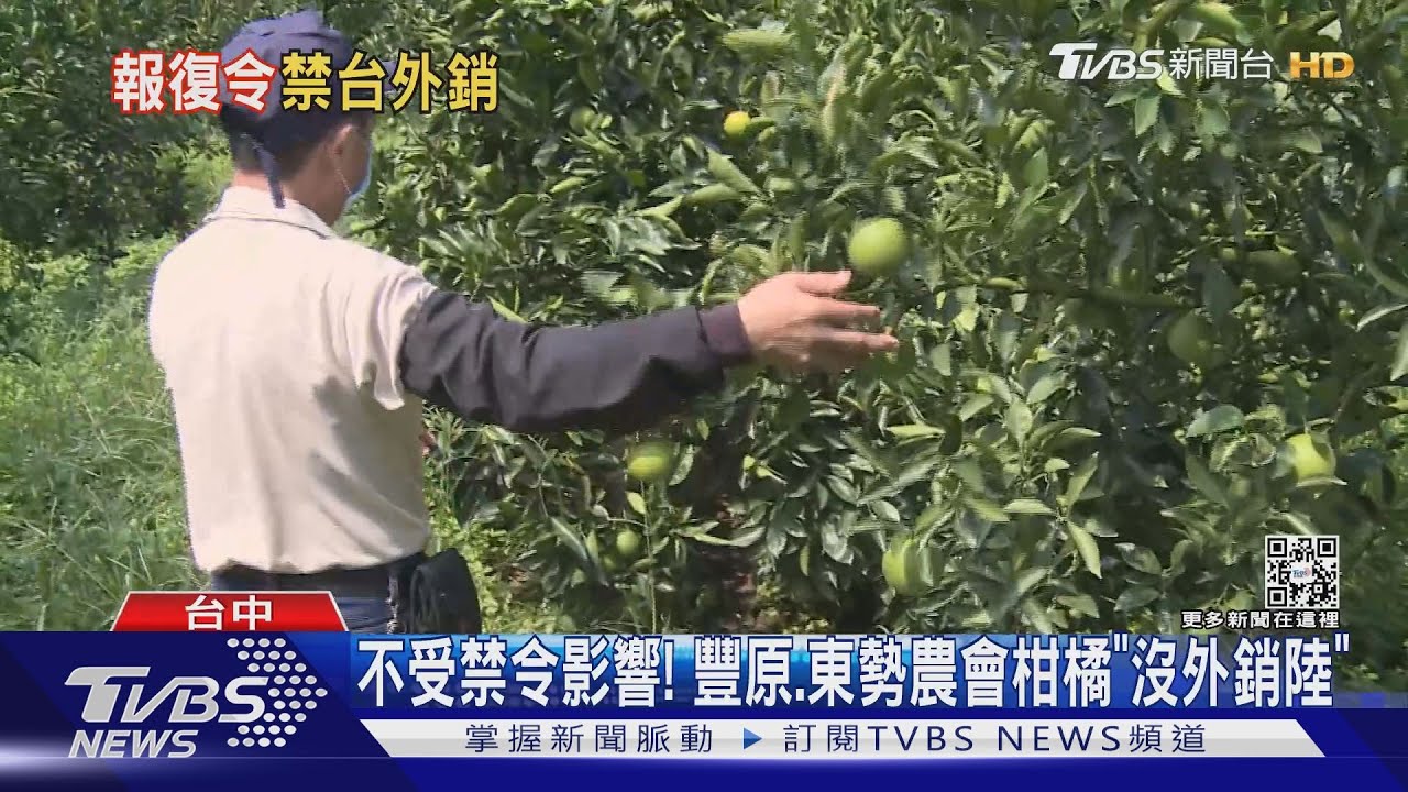 陸突下外銷禁令! 陳吉仲怒:阻礙農產品進口