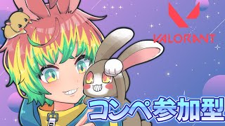【VALORANT / コンペ参加型】 雑談しながら🐰 シルバー以下まで参加〇