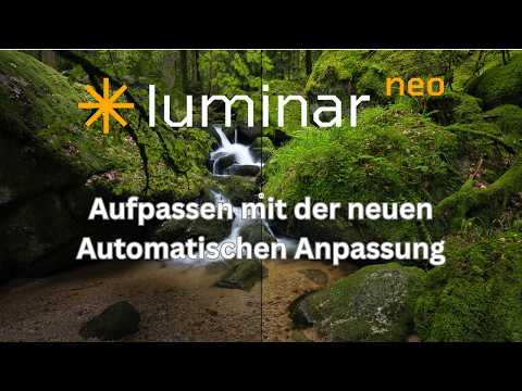 𝗟𝘂𝗺𝗶𝗻𝗮𝗿 𝗡𝗲𝗼 - new automatic adjustment function. Use carefully.