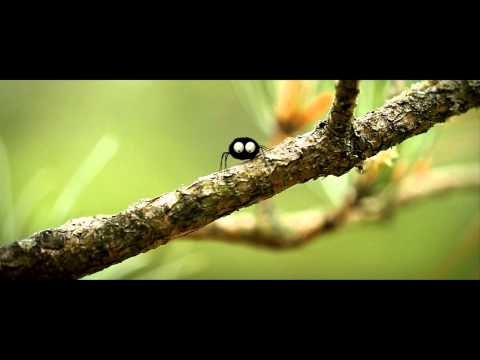 Alžběta Kolečkářová - Mrňouskové - Údolí ztracených mravenců