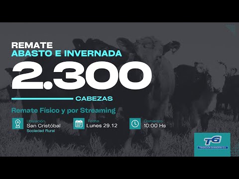 REMATE ABASTO E INVERNADA...TRADICION GANADERA SUCURSAL SAN CRISTOBAL