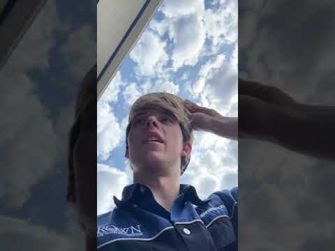 Custom F550 6.0 Powerstroke