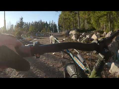 kostka monster + 1 alaskan husky