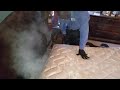 Steaming bed bugs dead in Iselin, NJ