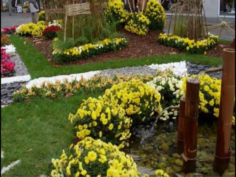 DADDY SPIEWA  SZCZEPANIKA - NIEDOMOWIENIA