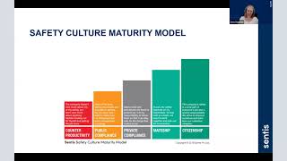 Making Sense of Safety Culture