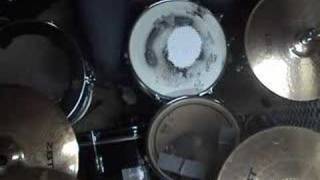 Racoon - Eric's bar drum