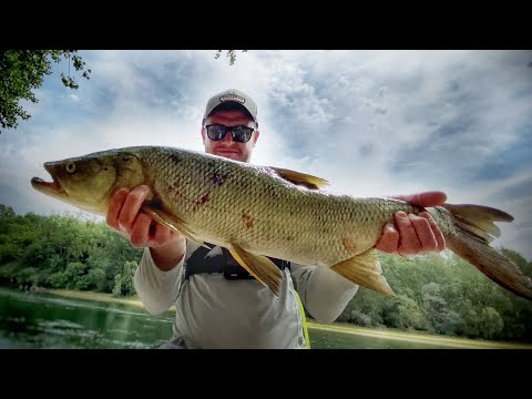 SOPRESA IN TICINO, LUCCIO A WTD, SPINNING ASPIO IN FIUME ULTIMO EPISODIO - СПИННИНГ НА ЖЕРЕХА И ЩУКУ