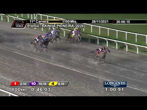 211128 c11 DOG ALICANTE