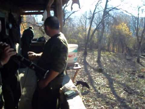 Chef vanatoare Tomnatic