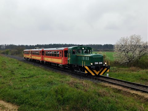 2023. 04. 08. Mazsolával a Mecsek lábánál fotósvonat az 50-es vonal Dombóvár-Hidas-Bonyhád szakaszán