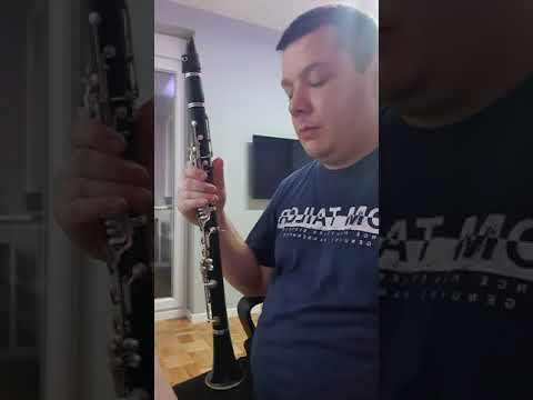 Berovska gajda by Uroš Davidović