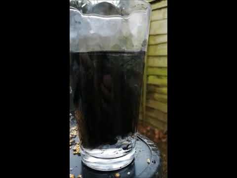 Black Pearl boilies - see the amazing bait explosion!