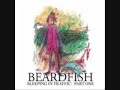 beardfish afternoon conversation