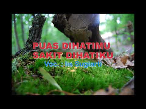 Iis Sugiarti - Puas Dihatimu Sakit Dihatiku (audio + Lyrics)