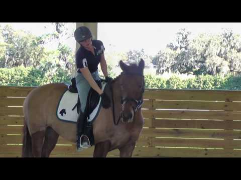 Fleetwood ISF, Star at Iron Spring South, 2015 - SOLD!