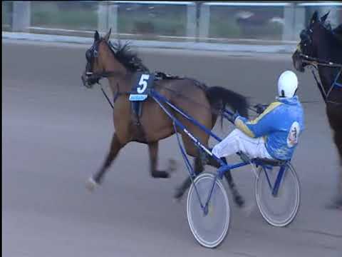 Trotto 11/12/2018 - 4ª corsa