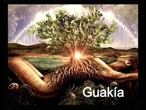 Guakía - Líne Guitar Preview!