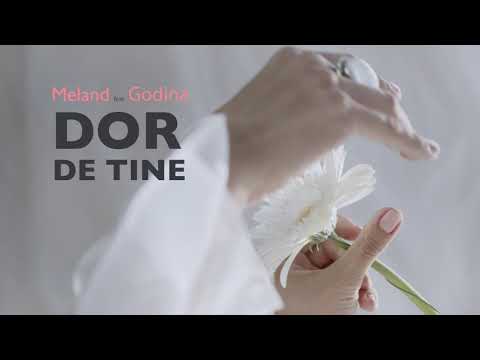 Dor de tine - Meland ❌ Gheorghi Godina ❌ Tinna