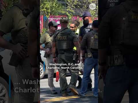 'Operation Catahoula Crunch' launched in New Orleans