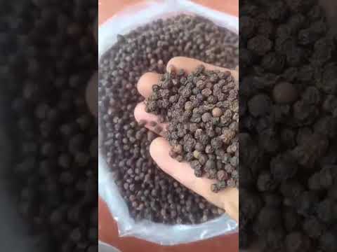 Kolli hills organic original black pepper