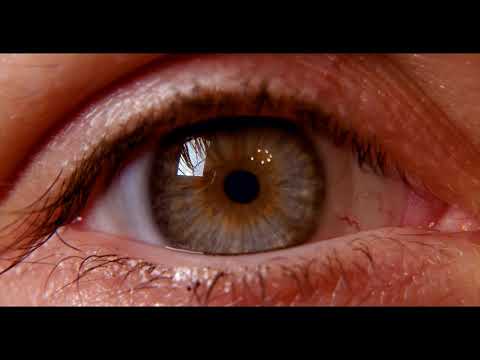 Paolo Agnello - "IL DESIDERIO DI VIVERE"