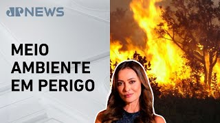 Miniatura do vídeo