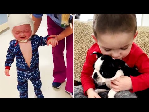 脳手術を受けた少年が、同じようなニーズを持つ子犬を手に入れる (Boy Who Survived Brain Surgery Gets Puppy With Similar Needs)