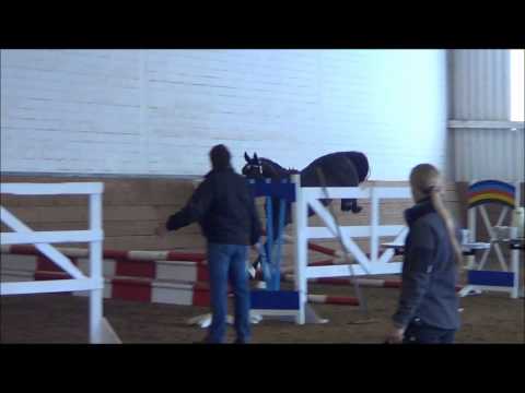 Star for Libero v. Stakkato