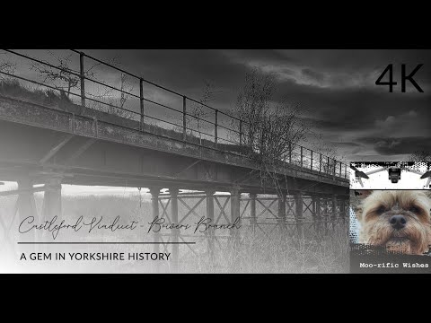 Castleford Viaduct and Bowers/Allerton Bywater Branch Railway (Disused) #drone #djimini3pro #4k