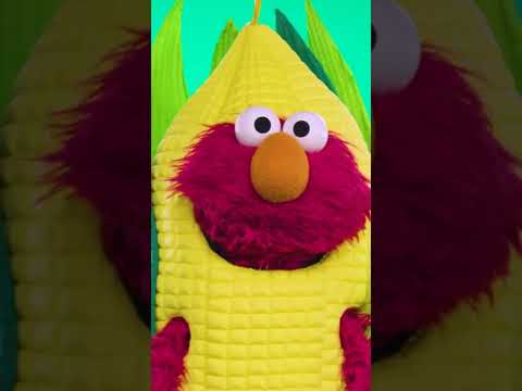 エルモがトウモロコシに変身 ?とうもろこしだ!#sesamestreet (Elmo Dresses Up as Corn ? IT'S CORN! #sesamestreet)