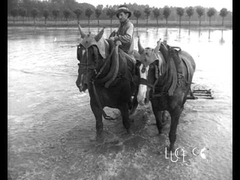 Le mondine in partenza per le risaie vercellesi