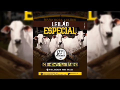 MARA ROSA LEILÕES - GOIÁS - LEILÃO ESPECIAL DE GADO DE CORTE 04/11/2025