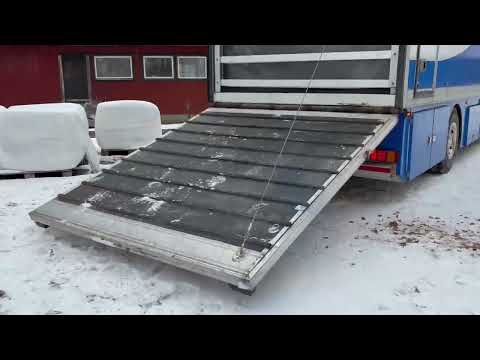 Videoklipp