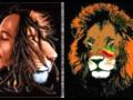 Fantan Mojah-Where Is The Love(Higher Medzz Riddim)HQ