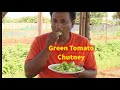 Green tomato chutney -  Hare tamatar ki chutney - tomato pachadi