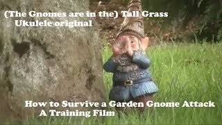 The Gnomes are in the (Tall Grass)