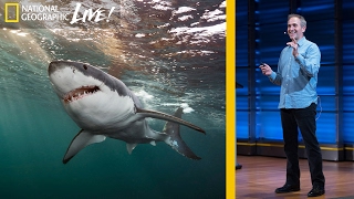 Great White and Oceanic Whitetip Sharks: Photographing Top Ocean Predators  (Part 3) | Nat Geo Live