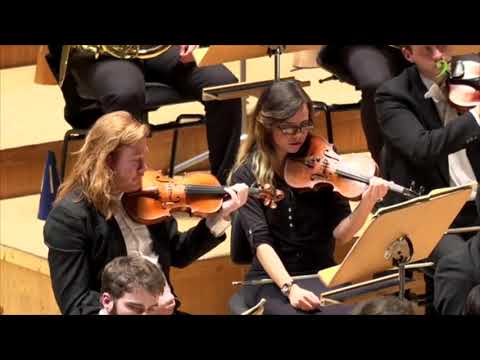 Mahler 5th Symphony - Horn solos excerpt.