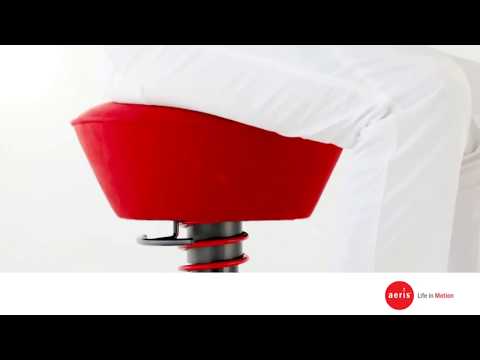 Aeris Swopper Ergonomic Office Chair - Radius Office