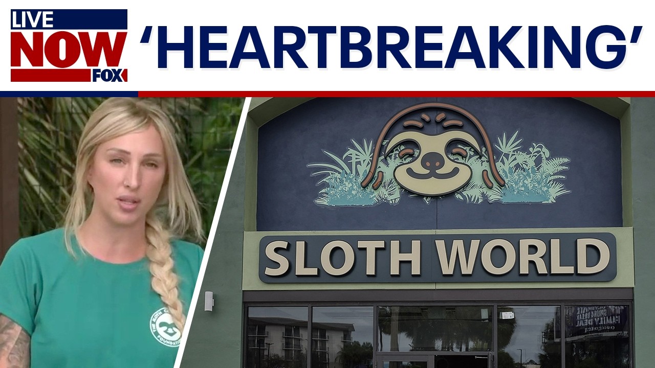 'Sloth World' scandal: Florida leaders demand accountability after 50+ sloths die