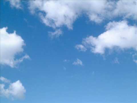 The Real Sky Jeff Cole Soundtrack The Edukators.wmv