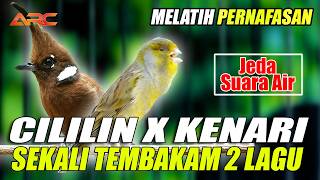 Download lagu CILILIN X KENARI | MASTERAN SATU NAFAS 2 LAGU _ JEDA SUARA AIR AUDIO SUPER JERNIH mp3 Download lagu CILILIN X KENARI | MASTERAN SATU NAFAS 2 LAGU _ JEDA SUARA AIR AUDIO SUPER JERNIH mp3